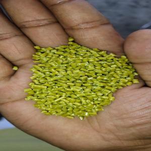 HDPE GRANUALS HDPE Reprocess Granule Blow Injection Molding kalyan maharashtra india Plastic4trade Plastic4trade