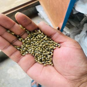 HDPE GRANUALS HDPE Reprocess Granule Blow Injection Molding undefined tamil nadu india Plastic4trade