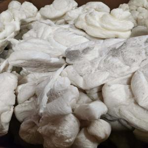 HDPE LUMPS HDPE Lumps Blow Injection Molding hyderabad telangana india Plastic4trade