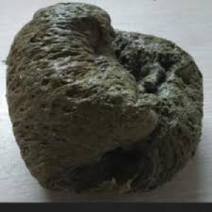 HDPE LUMPS HDPE Lumps Blow undefined delhi india Plastic4trade