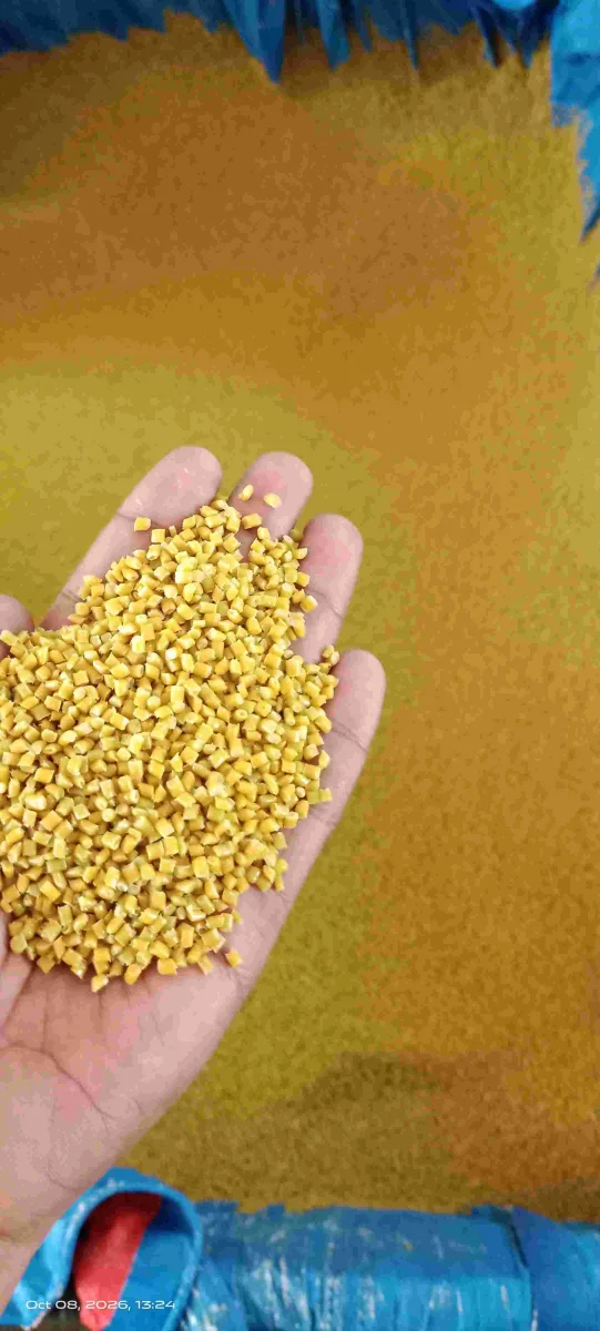 HDPE MOLDING SCRAP HDPE Grinding Blow Injection Molding Extrusion ahmedabad gujarat india Plastic4trade