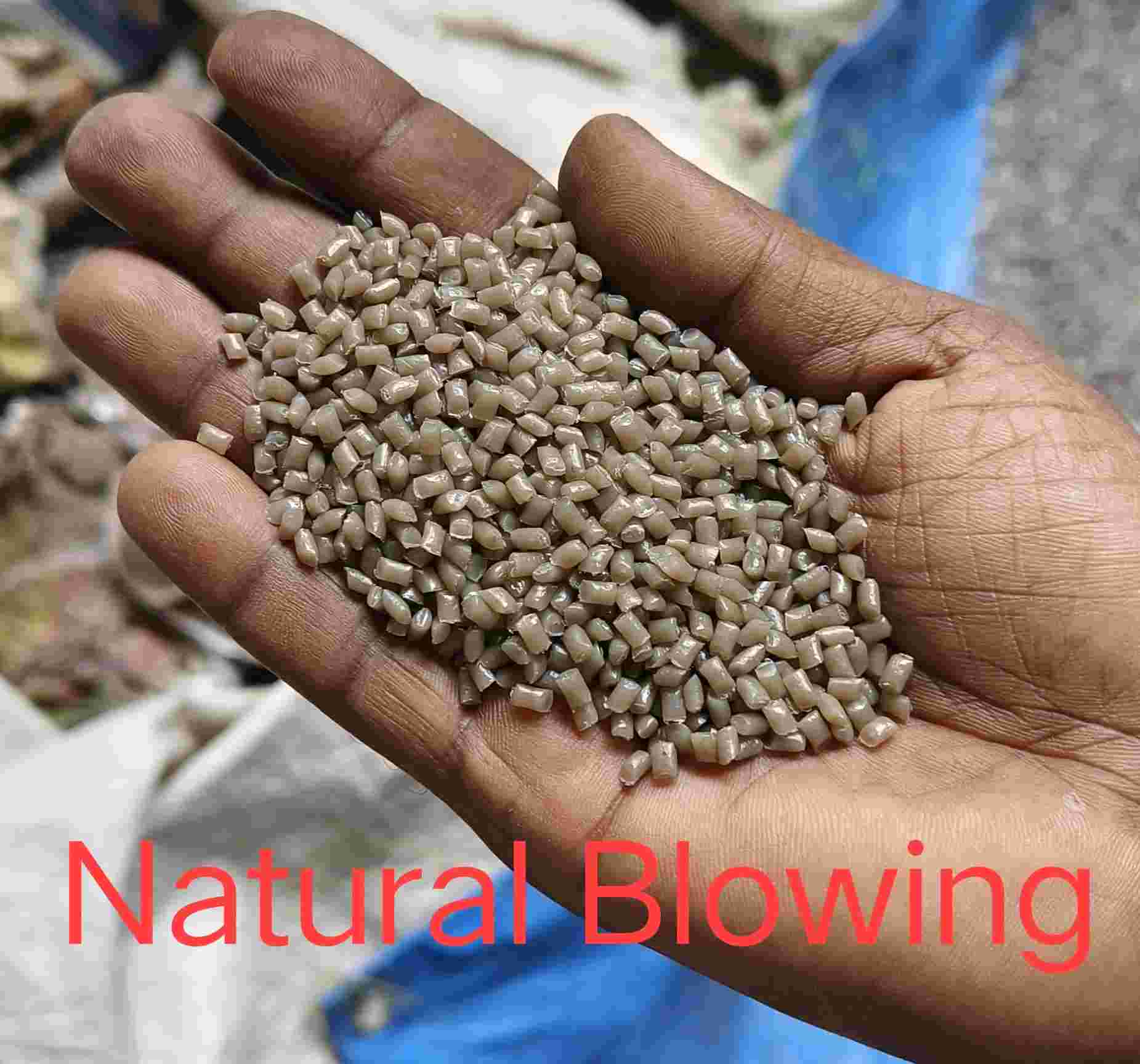 HDPE NATURAL DANA HDPE Reprocess Granule Blow kolkata west bengal india Plastic4trade Plastic4trade