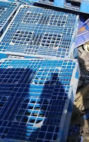 HDPE PALLET SCRAP HDPE Scrap Injection Molding vadodara gujarat india Plastic4trade