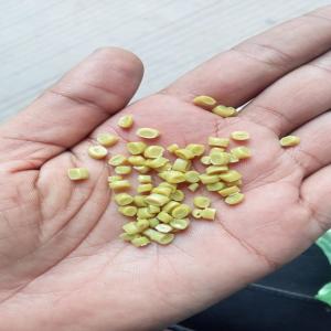 HDPE RECYCLED GRANULES HDPE Reprocess Granule Blow ahmedabad gujarat india Plastic4trade