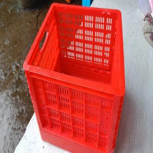 HDPE RED CRATE 10KG HDPE Finish Goods Blow Injection Molding pune maharashtra india Plastic4trade