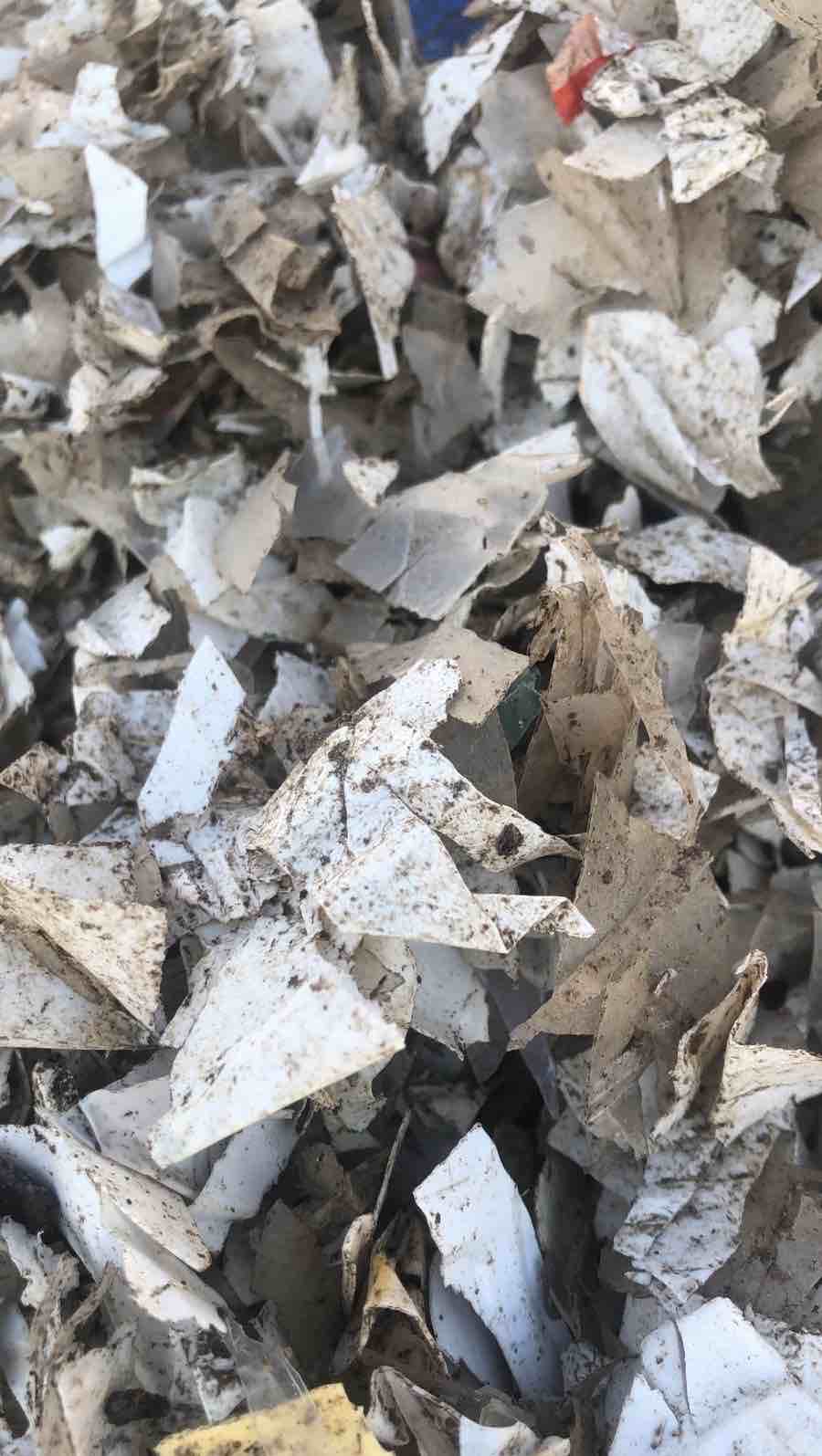 HDPE REGRIND BLOW HDPE Grinding Blow dubai dubai united arab emirates Plastic4trade Plastic4trade