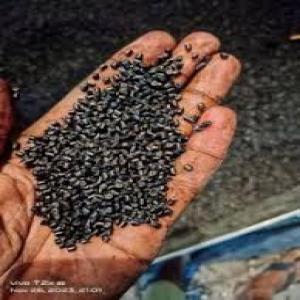 HDPE  REPROCESSED GRANULES HDPE Reprocess Granule Injection Molding mehsana gujarat india Plastic4trade