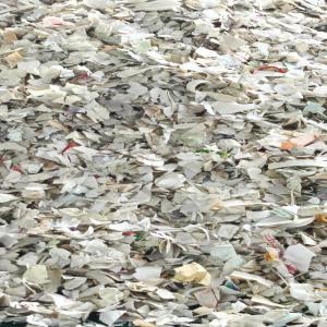 HDPE WHITE GRINDING HDPE Grinding Blow unnao uttar pradesh india Plastic4trade Plastic4trade