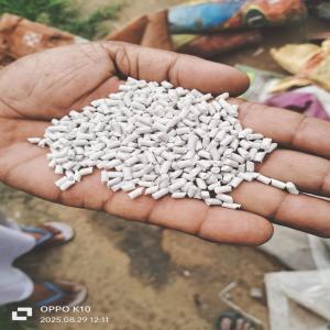 HDPE WHITE MILKY REPROCESS GRANULES HDPE Reprocess Granule Blow bathinda punjab india Plastic4trade