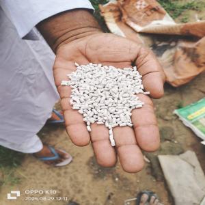 HDPE WHITE MILKY REPROCESS GRANULES HDPE Reprocess Granule Blow bathinda punjab india Plastic4trade Plastic4trade