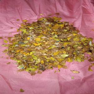 HDPE YELLOW GRINDING HDPE Grinding Blow challakere karnataka india Plastic4trade