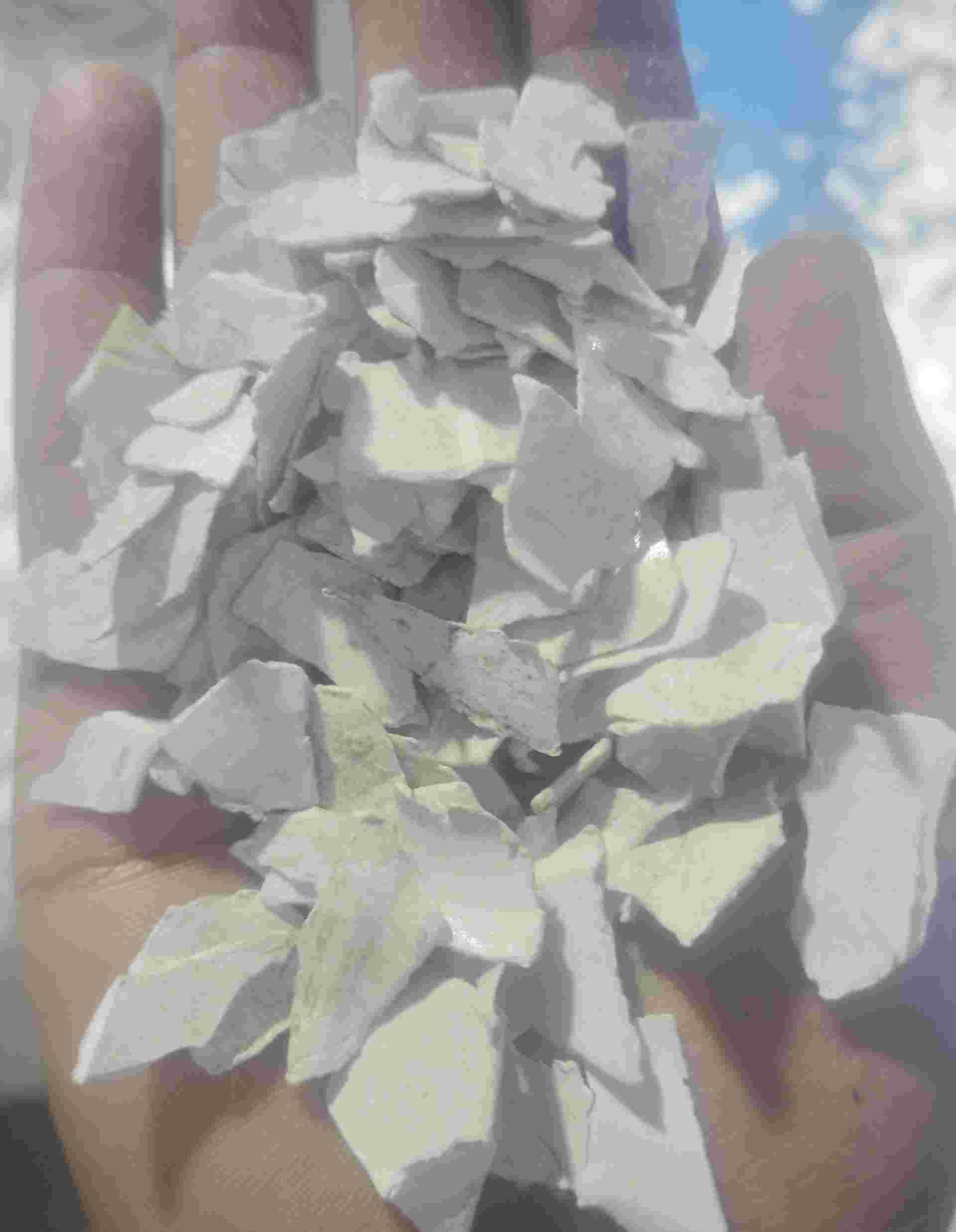 HIPS WHITE GRINDING HIPS Grinding Thermoforming roorkee uttarakhand india Plastic4trade