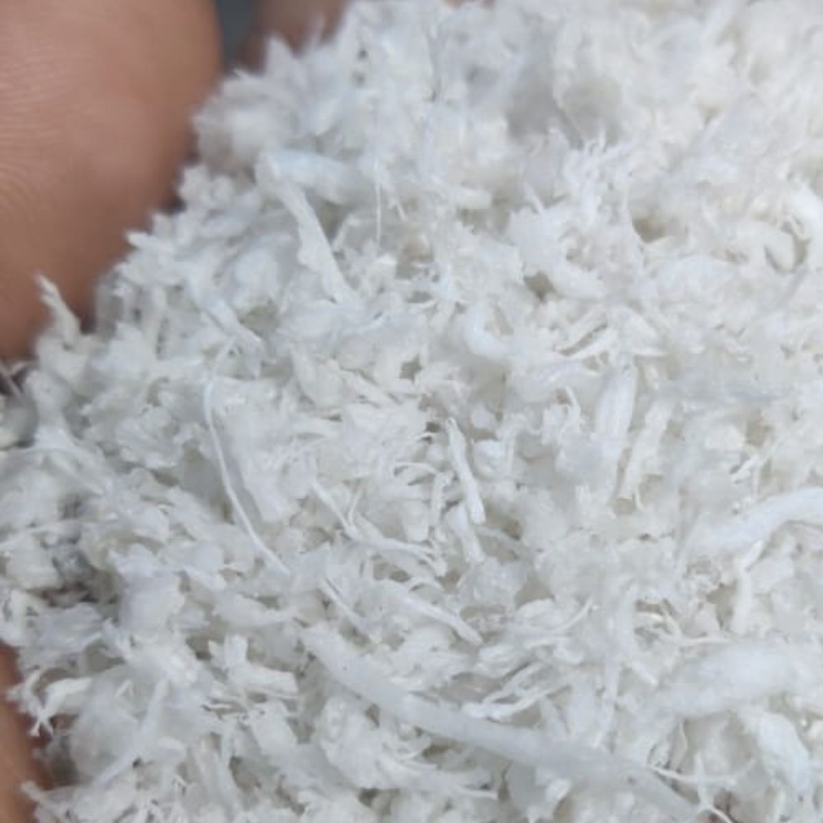 HM BAILED HM Scrap Baled Film Grade bidasar rajasthan india Plastic4trade