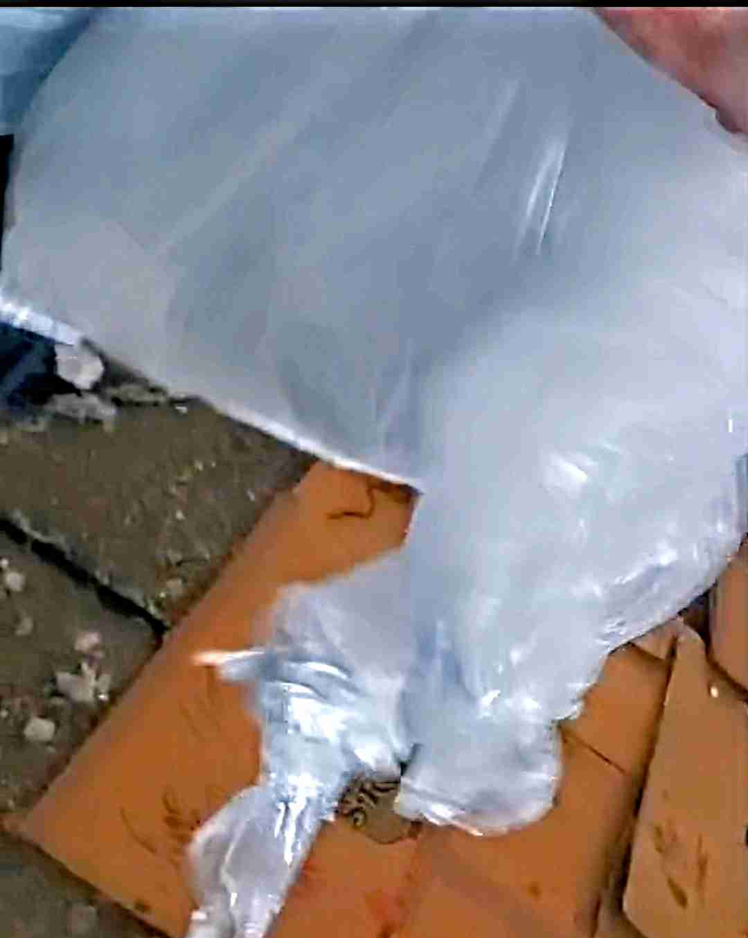 HM NATURAL FILM SCRAP HM Scrap Stock Lots Agglo Film Grade amravati maharashtra india Plastic4trade Plastic4trade