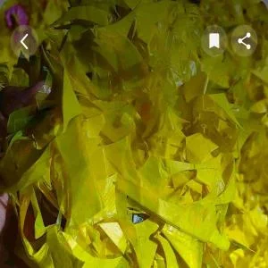 HM SCRAP HM Scrap Film Grade ajmer rajasthan india Plastic4trade