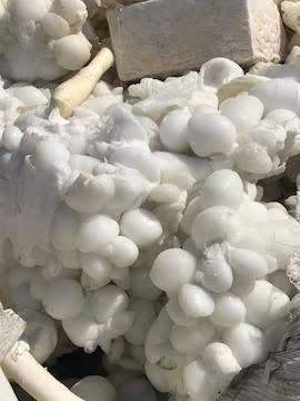 IMPORTED PP LUMPS PP Lumps Injection Molding kathwada gujarat india Plastic4trade