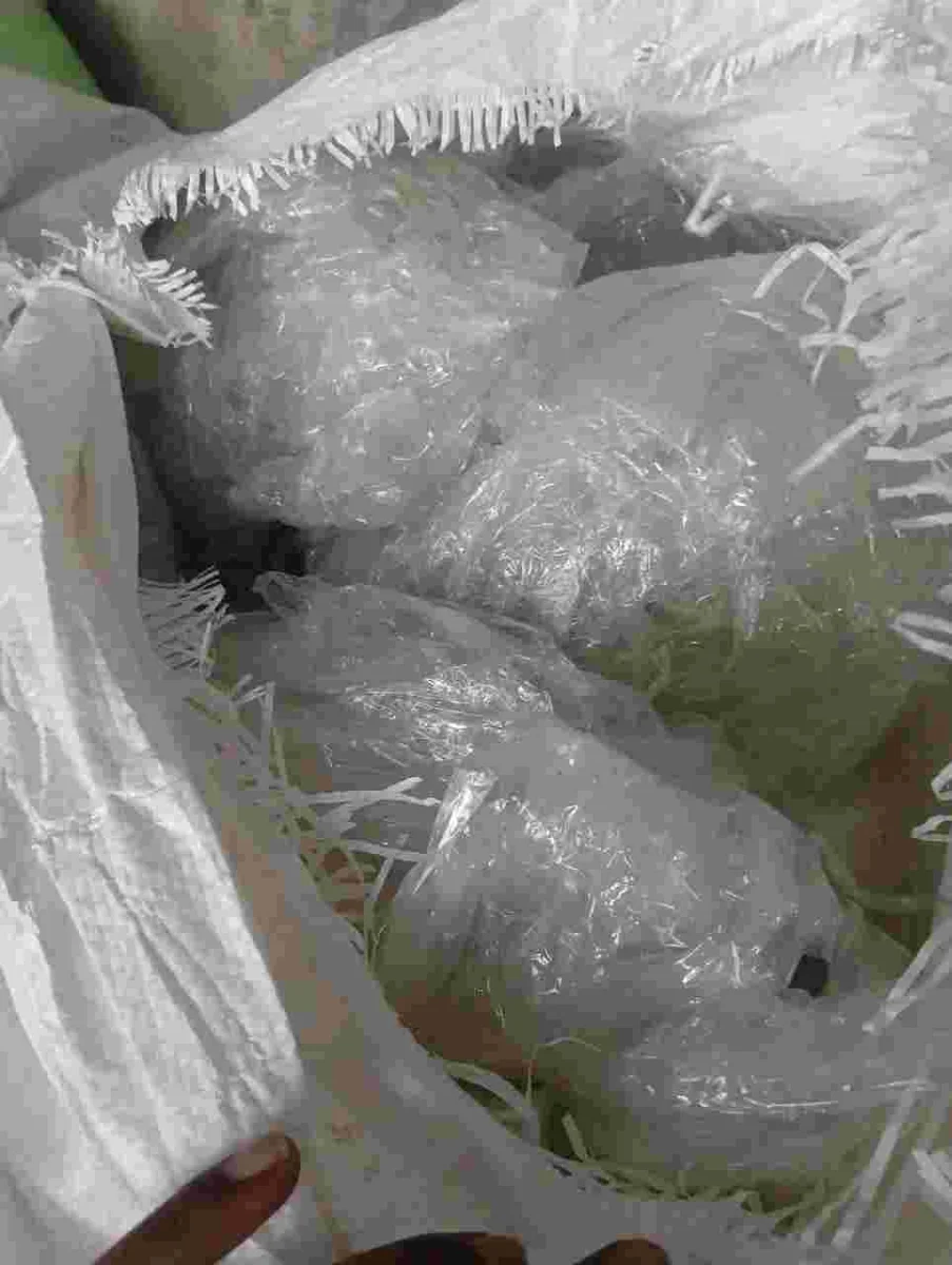 L.D ,P.P, H.M LLDPE LDPE Scrap Film Grade amritsar punjab india Plastic4trade