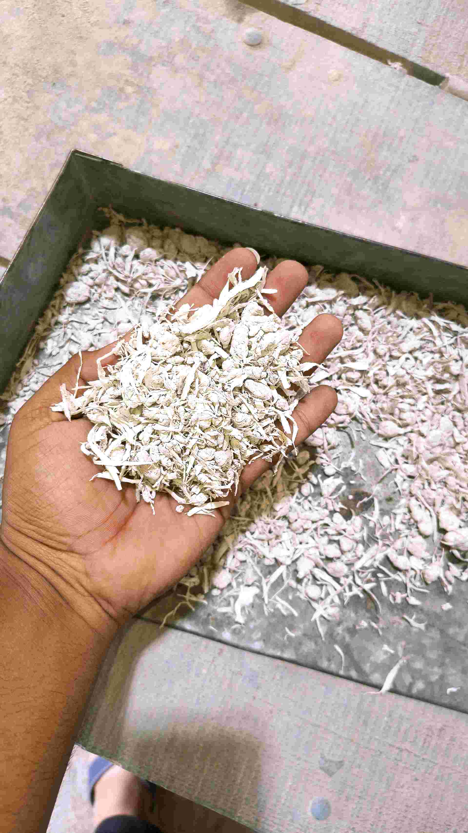 LD AGRO LDPE Agglo Film Grade kuvadva gujarat india Plastic4trade