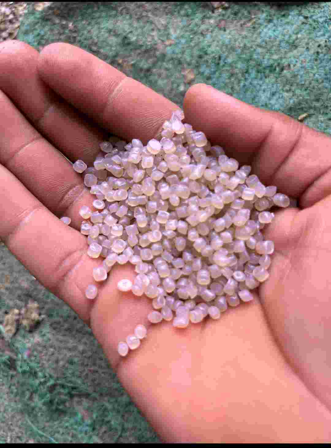 LD DANA GRANULES LDPE Reprocess Granule Injection Molding mahuva gujarat india Plastic4trade Plastic4trade