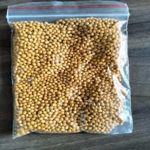 LD FILLER FILLER Reprocess Granule Extrusion undefined rajasthan india Plastic4trade