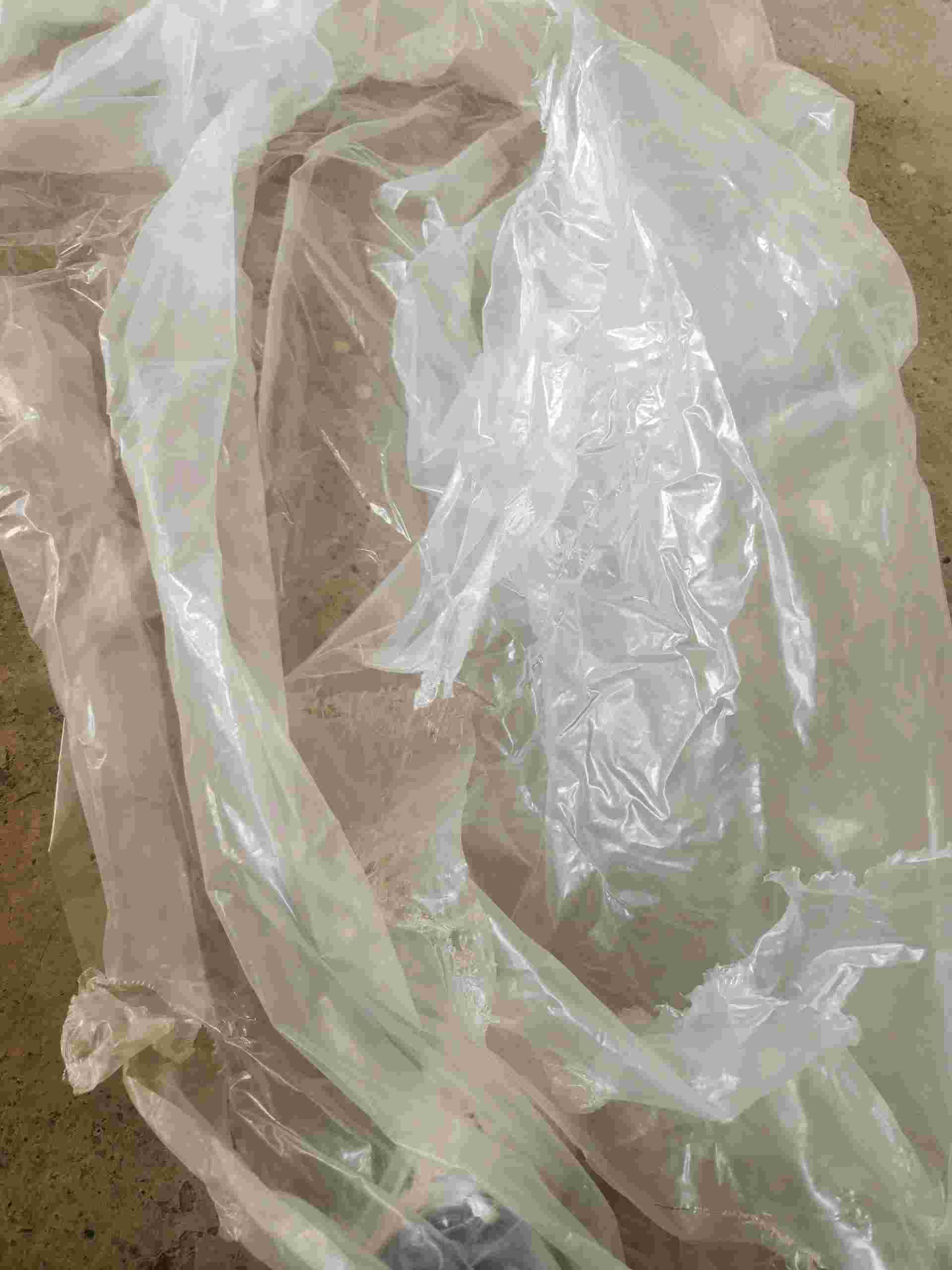 LD FILM LDPE Bag Film Grade new delhi delhi india Plastic4trade