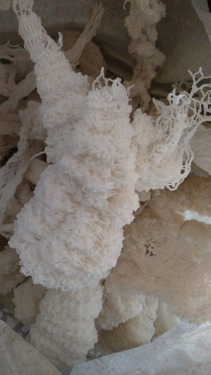 LD FOAM LDPE Lumps Mix Scrap ahmedabad gujarat india Plastic4trade