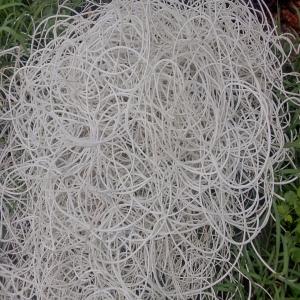 LD FOAM LDPE Scrap Cable rajound haryana india Plastic4trade Plastic4trade