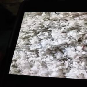 LD GLUCOSE BOTTEL GRINDING LDPE Grinding Blow new delhi delhi india Plastic4trade