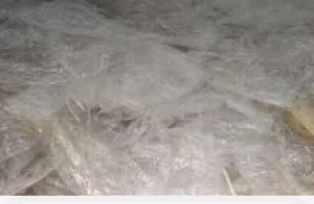 LD LDPE Grinding Injection Molding kalol gujarat india Plastic4trade