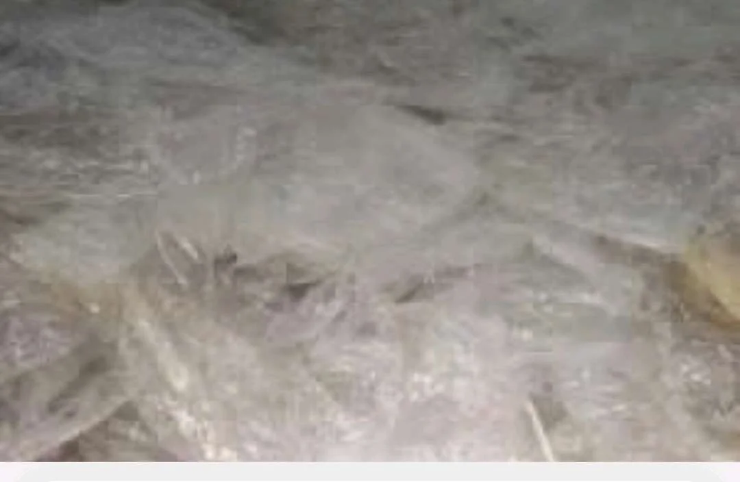 LD LDPE Grinding Injection Molding kalol gujarat india Plastic4trade