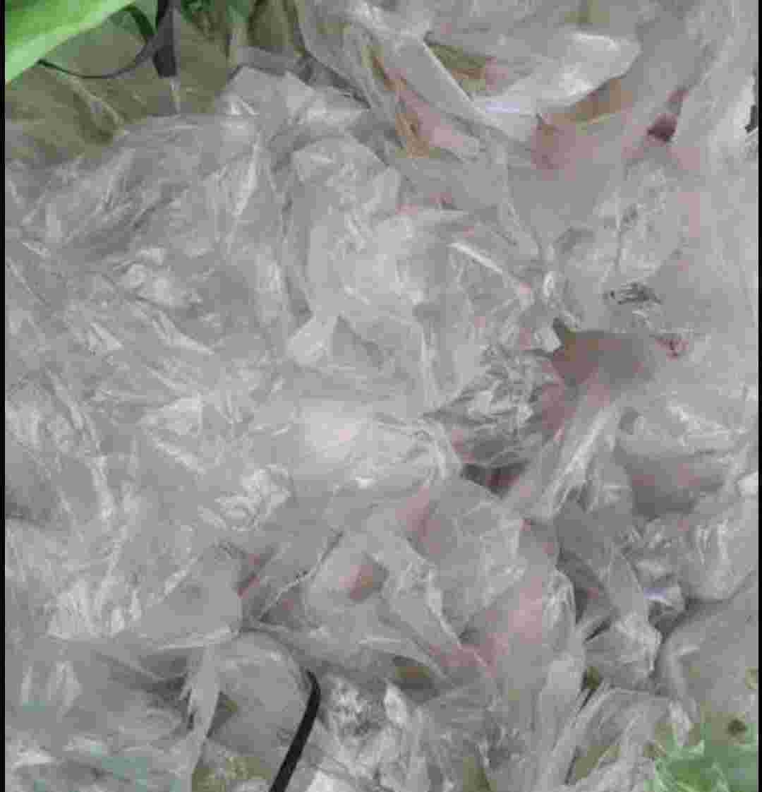 LD LDPE Scrap Mix Scrap tiruppur tamil nadu india Plastic4trade