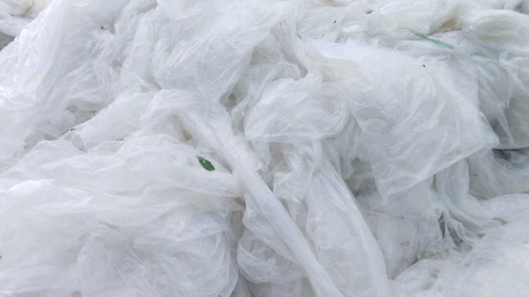 LD LDPE Scrap Mix Scrap patna bihar india Plastic4trade