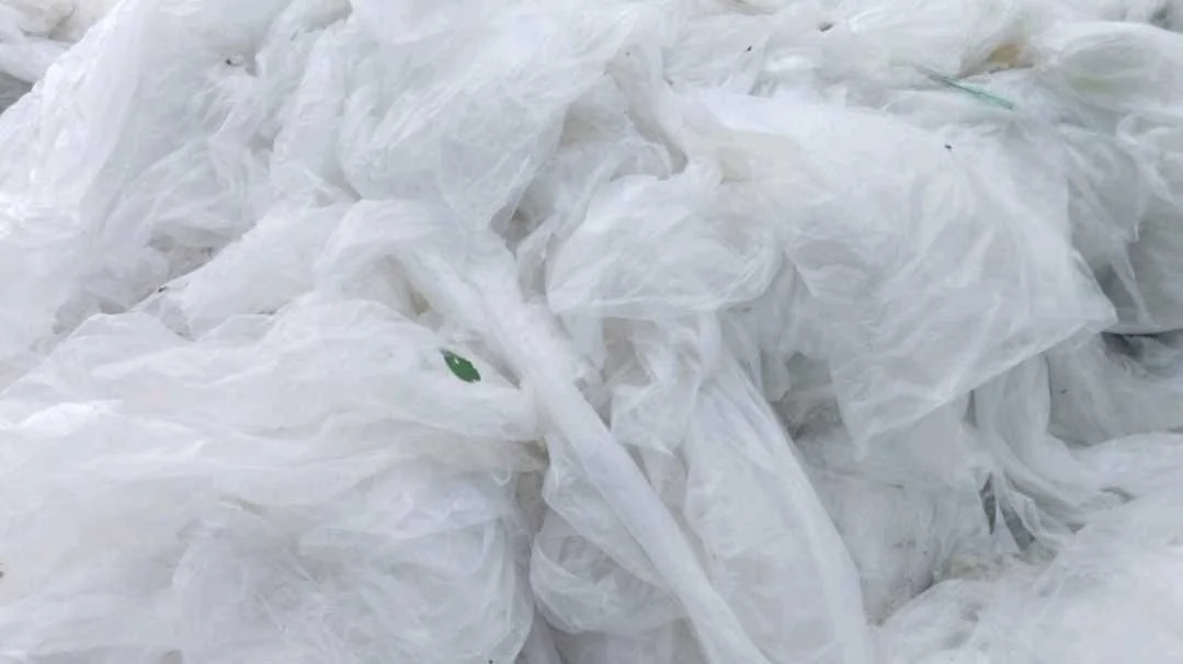 LD LDPE Scrap Mix Scrap patna bihar india Plastic4trade