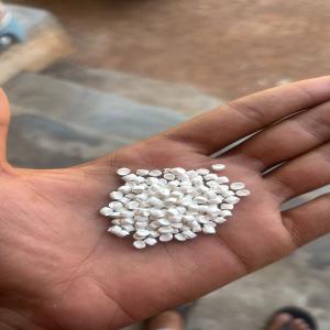 LD MILKY GRANULES  Reprocess Granule Film Grade vadodara gujarat india Plastic4trade