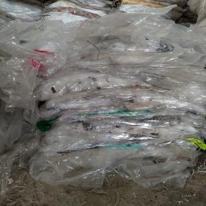 LD PP HM MIX FILM SCRAP LDPE Scrap Film Grade nagpur maharashtra india Plastic4trade Plastic4trade