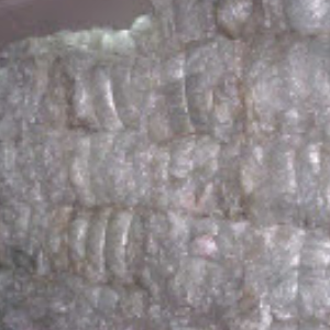 LDP SCRAP LDPE Rolls Film Grade london england united kingdom Plastic4trade Plastic4trade