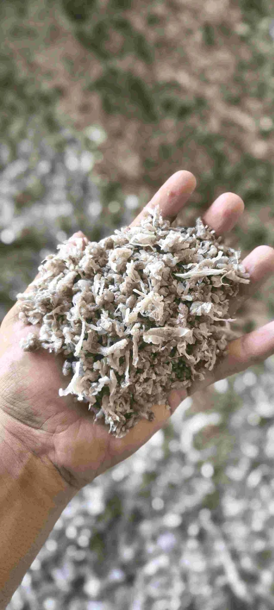 LDPE AGLO NATURAL & DULL NATURAL LDPE Agglo Film Grade kuvadva gujarat india Plastic4trade