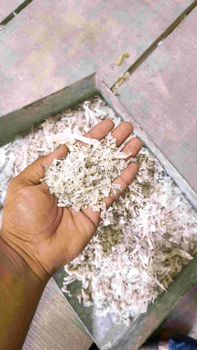 LDPE AGLO NATURAL & DULL NATURAL LDPE Agglo Film Grade kuvadva gujarat india Plastic4trade