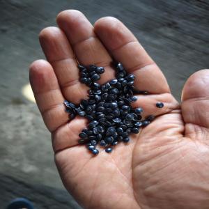 LDPE BLACK REPROCESSED GRANULES LDPE Reprocess Granule Film Grade ahmedabad gujarat india Plastic4trade