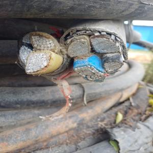 LDPE CABLE SCRAP LDPE Scrap Mix Scrap masur karnataka india Plastic4trade