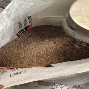 LDPE DULL NATURAL GRANULES NPLD LDPE Reprocess Granule Film Grade dalpur gujarat india Plastic4trade Plastic4trade