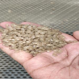 LDPE DULL NATURAL GRANULES NPLD LDPE Reprocess Granule Film Grade dalpur gujarat india Plastic4trade