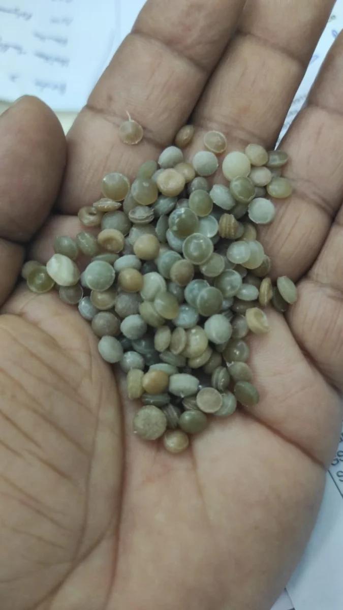 LDPE GARNULES LDPE Plastic4trade