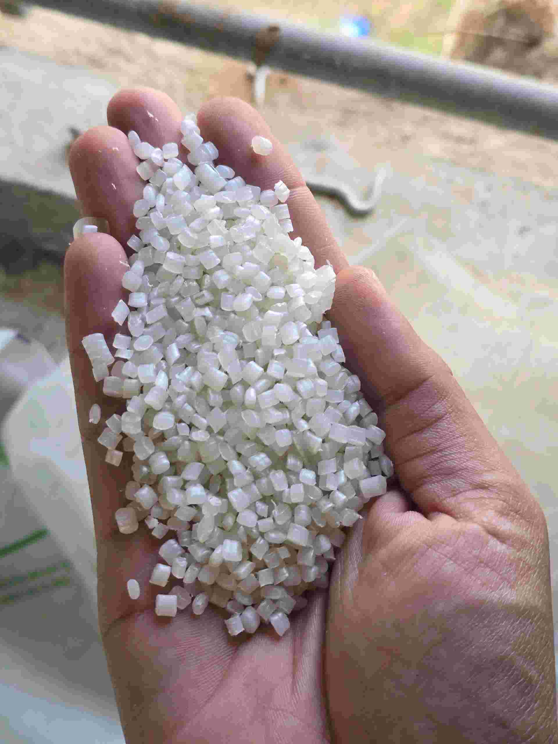 LDPE GRANUALS LDPE Reprocess Granule Blow Roto Molding Injection Molding ribda gujarat india Plastic4trade