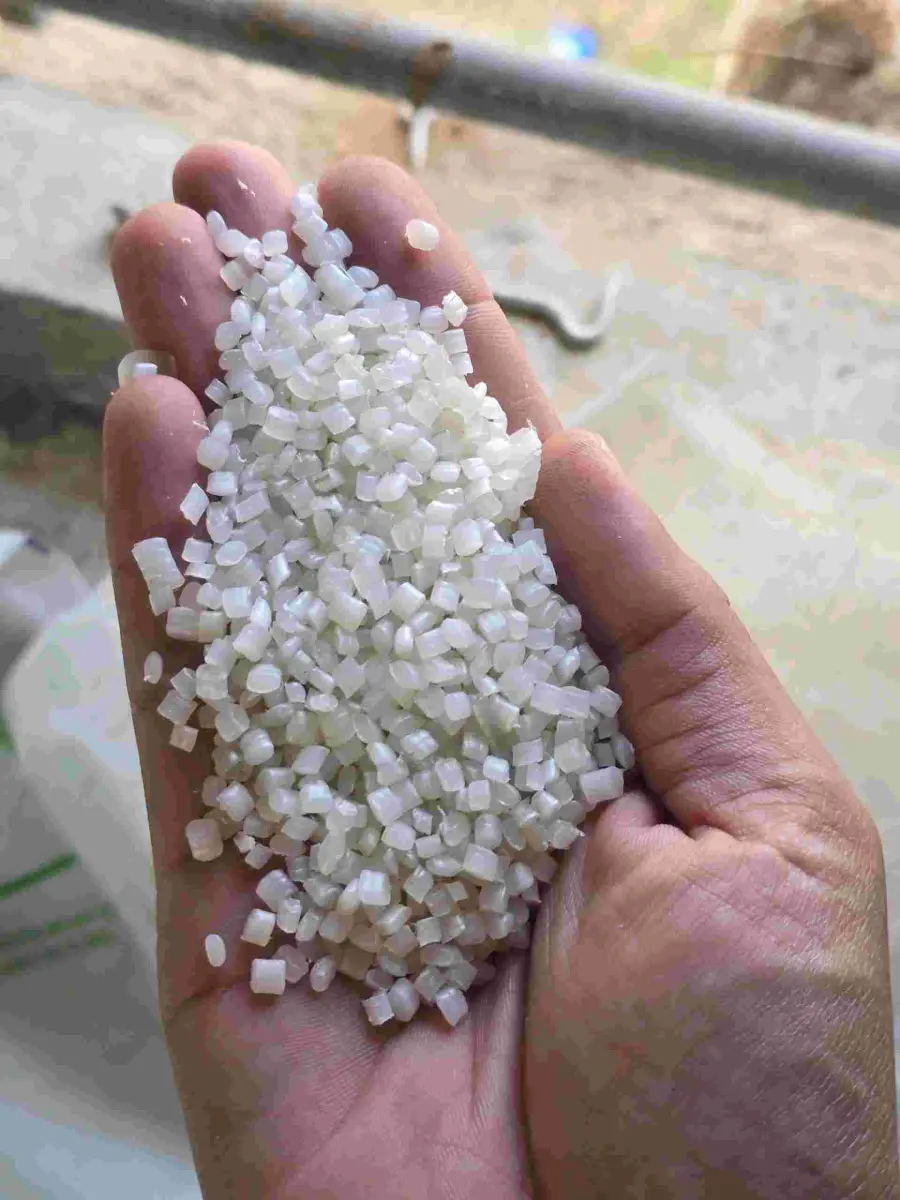 LDPE GRANUALS LDPE Reprocess Granule Blow Roto Molding Injection Molding ribda gujarat india Plastic4trade