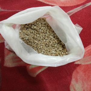 LDPE GRANUALS LDPE Reprocess Granule Film Grade mumbai maharashtra india Plastic4trade Plastic4trade