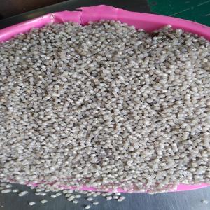 LDPE  GRANULES LDPE Reprocess Granule Extrusion chitradurga karnataka india Plastic4trade
