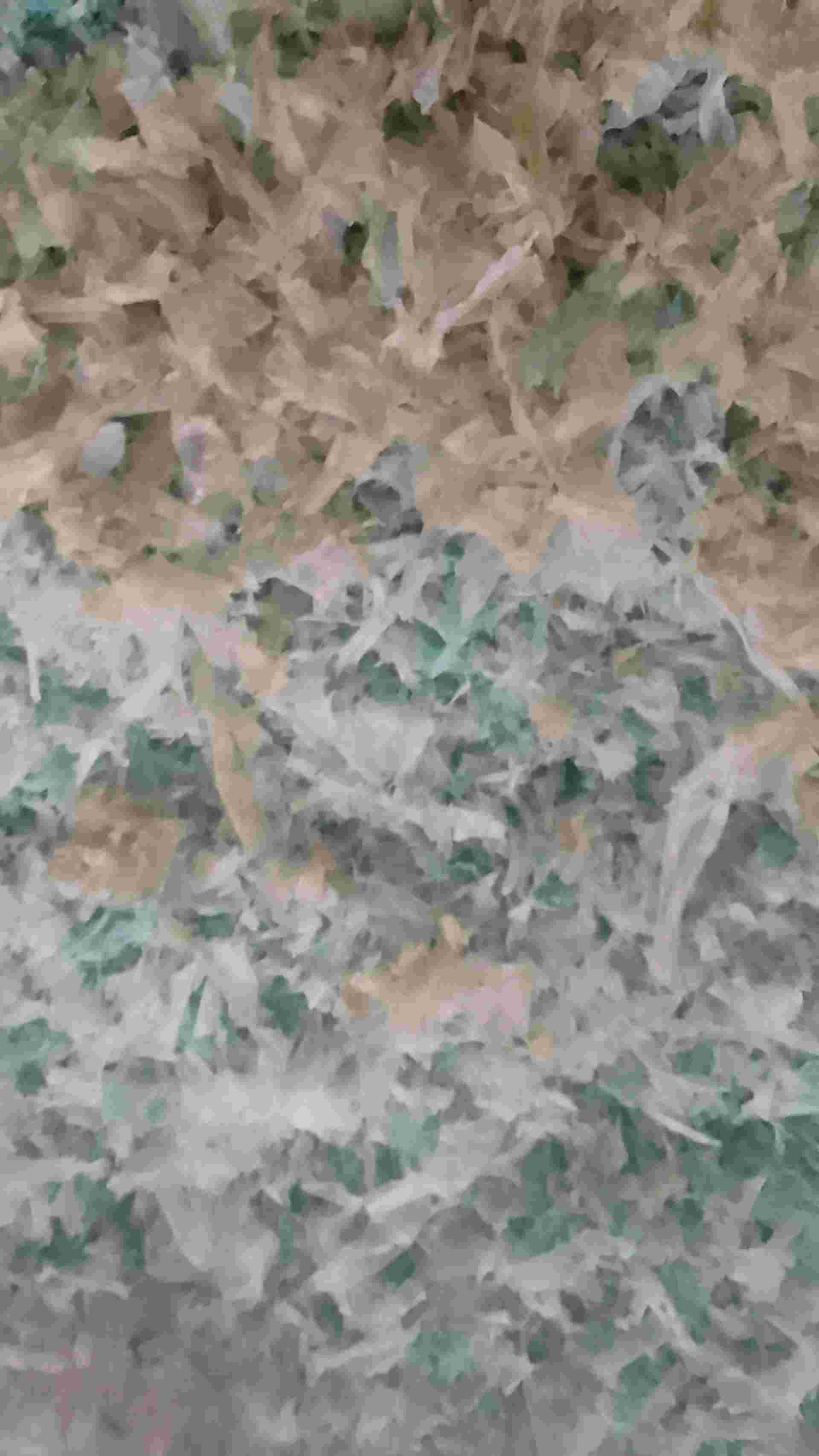 LDPE GRINDING LDPE Grinding Film Grade chincholikati maharashtra india Plastic4trade