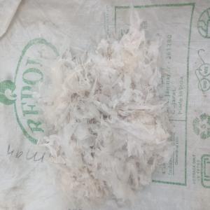 LDPE GRINDING LDPE Grinding Film Grade vapi gujarat india Plastic4trade