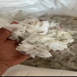 LDPE GRINGING LDPE Grinding Blow buldhana maharashtra india Plastic4trade